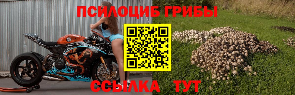 Галлюциногенные грибы MAGIC MUSHROOMS  Вход с VPN  где продают наркотики  Ростов-на-Дону 